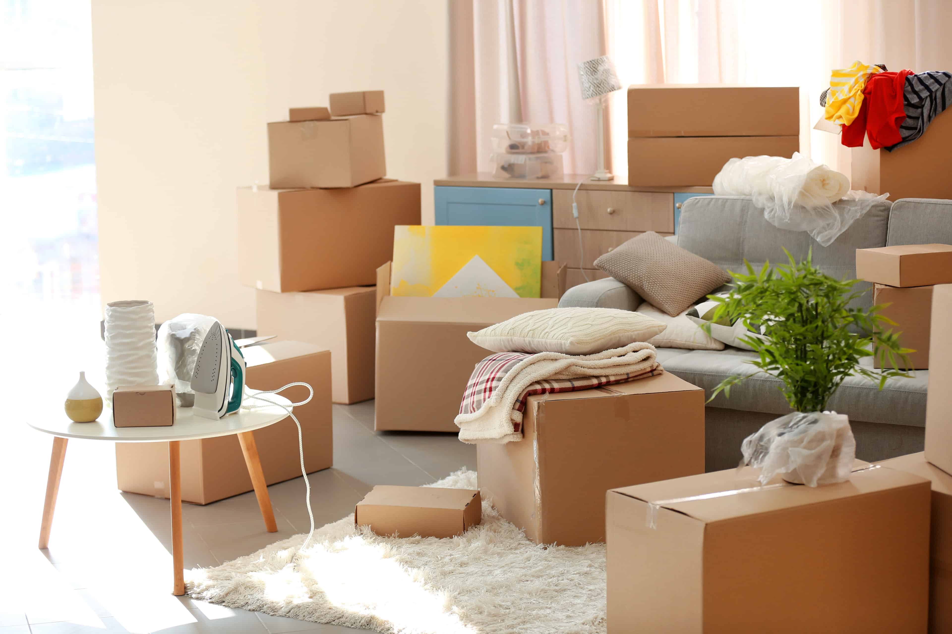 Move-In/Move-Out Cleaning image